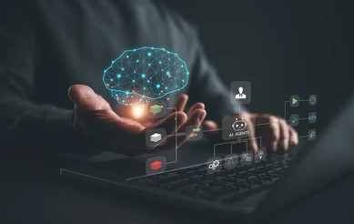 Final Solution & Deployment